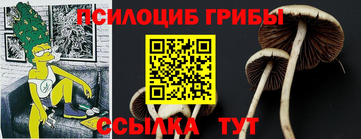 Соликамск  Галлюциногенные грибы Psilocybe  Псилоцибиновые грибы мухоморы  Вход с VPN 